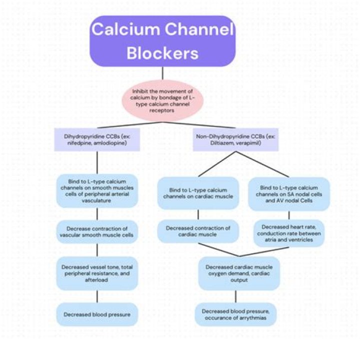 Do calcium channel blockers increase contractility?