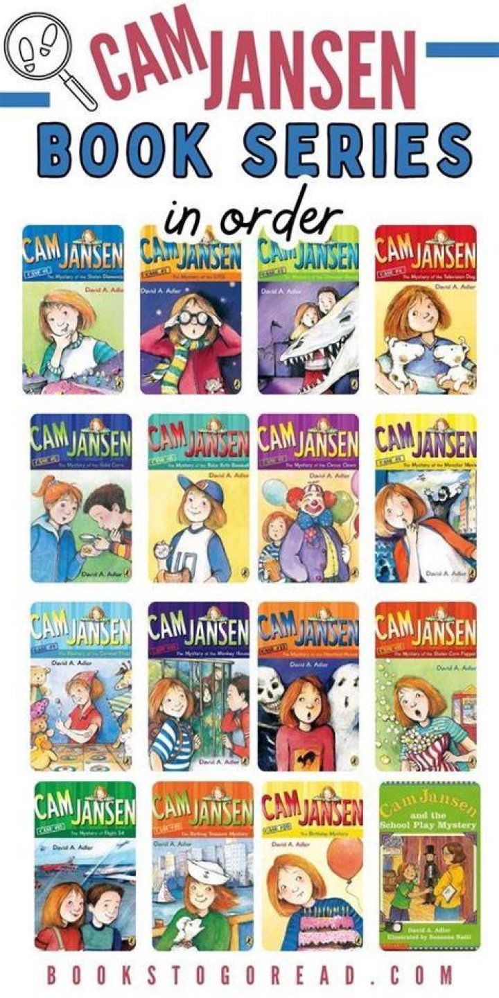 Do cam jansen books go in order?