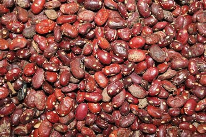 Do dry kidney beans go bad?