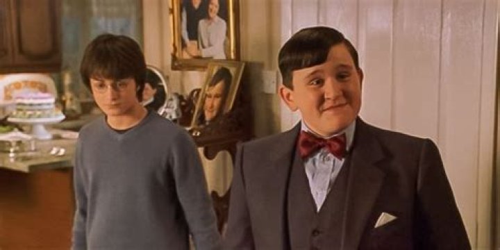 Do dudley and harry become friends?