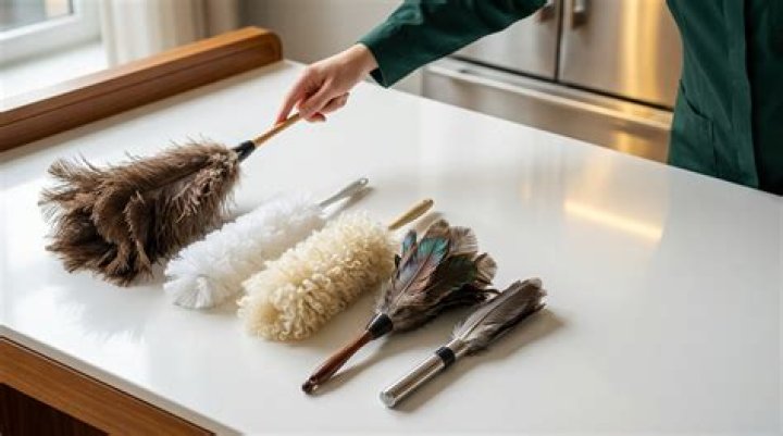 Do feather dusters really work?