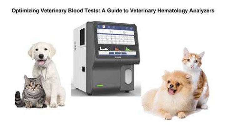 Do gatineau test on animals?