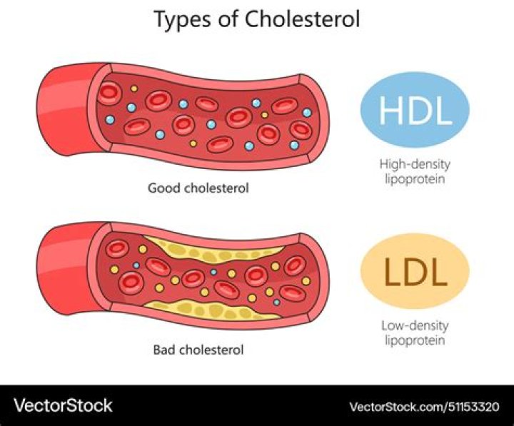 Do hdls break down ldls?