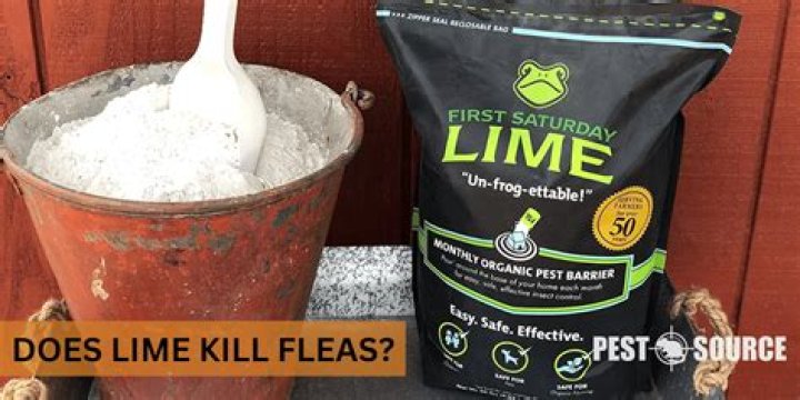 Do lime kill rodents?