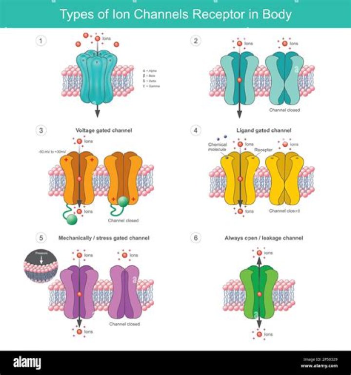 Do protein channels have specificity?