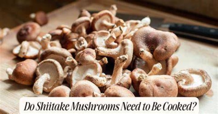 Do shiitake mushrooms need to be cooked?