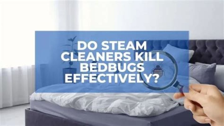 Do steam cleaners kill bed bugs?
