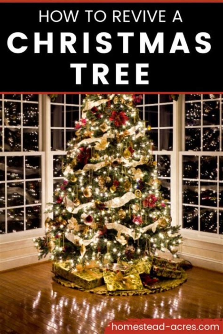Do you have to recut a christmas tree?