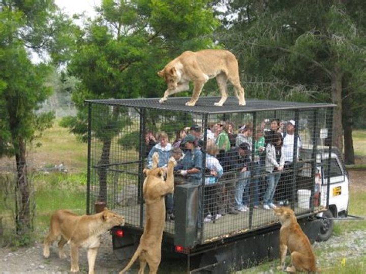 Do zoos pay for animals?