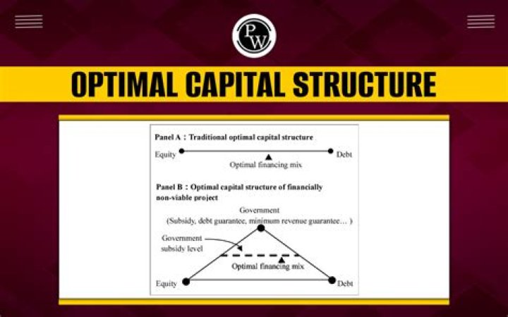 Does an optimal capital structure exist?