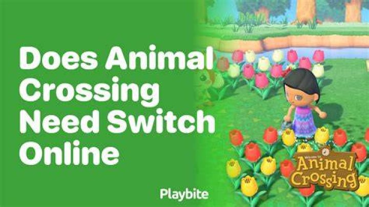 Does animal crossing need wifi?