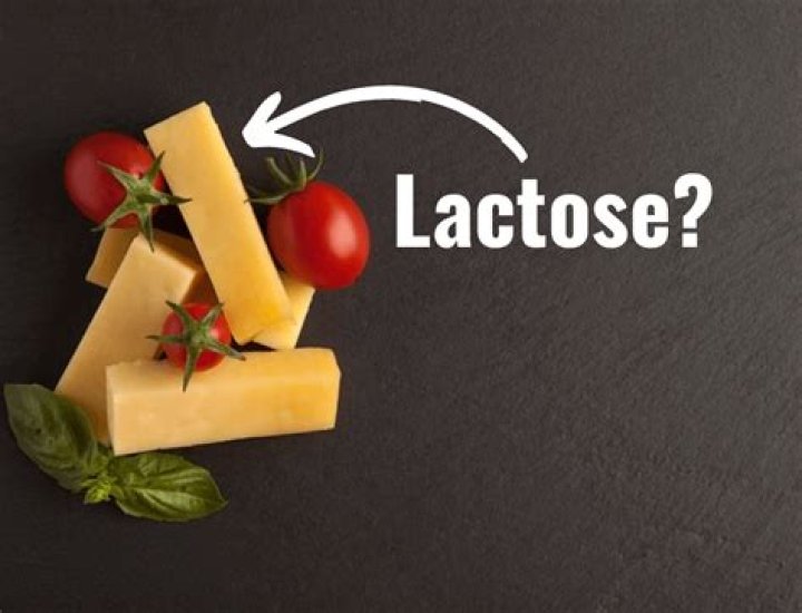 Does cheddar cheese have lactose?