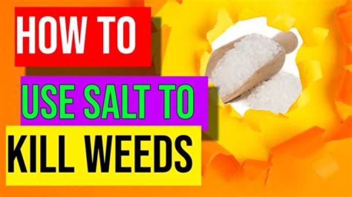 Does deicing salt kill weeds?