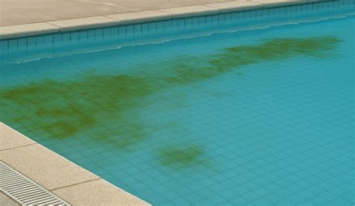 Does flocculant kill algae?