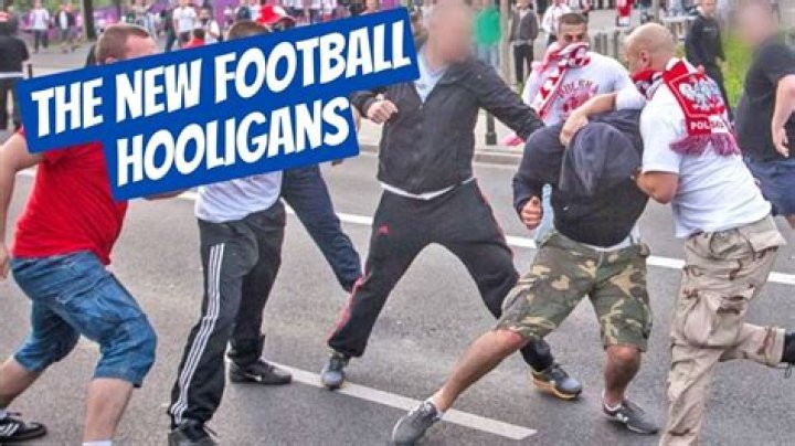 Does football hooligan mean?