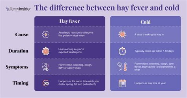 Does hay fever ever go away?