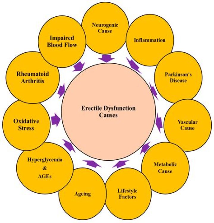 Does ischiocavernosus cause erectile dysfunction?