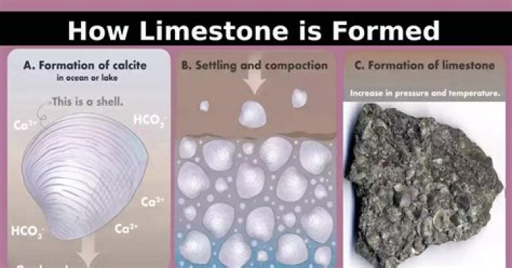 Does limestone formed inorganically?