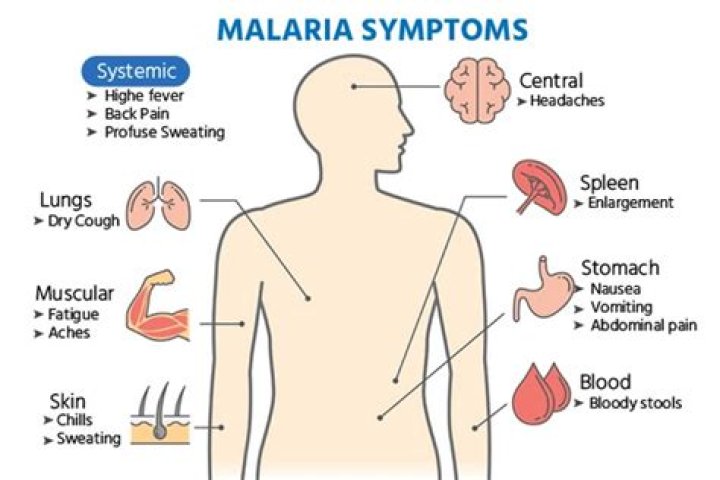 Does malaria cause cold sweat?