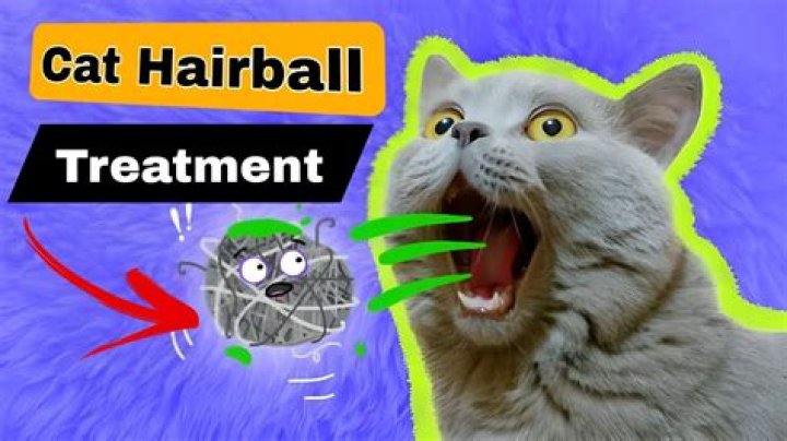 Does short haired cats get hairballs?