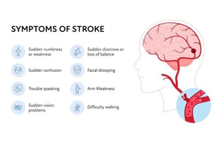 Does two stroke go bad?