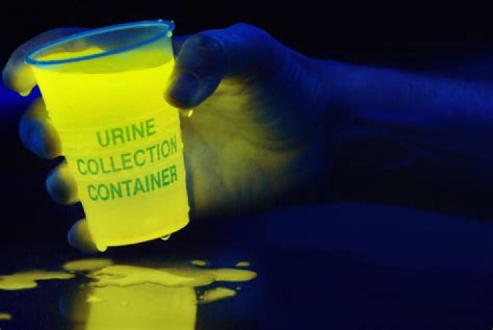 Does urine show up under a blacklight?