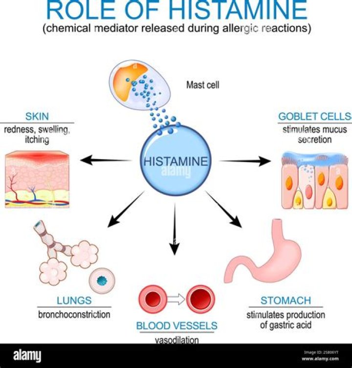 During allergic reaction histamine is released by?
