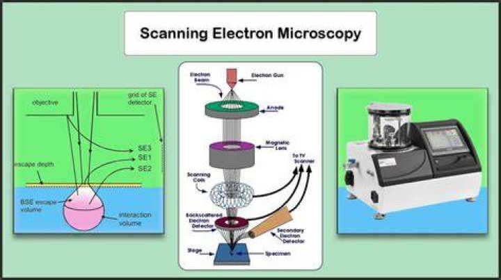 For scanning electron microscopy?