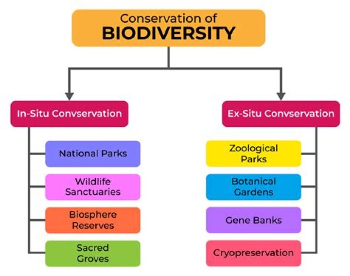 For the conservation of the ecosystem?