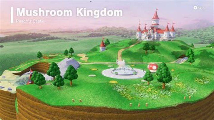 For the mushroom kingdom?