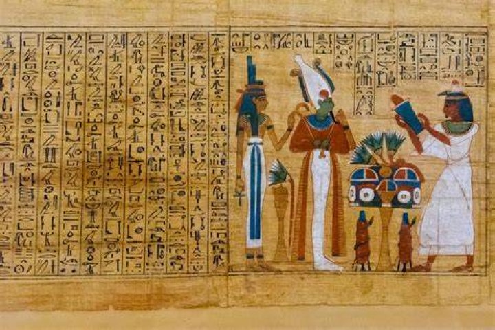 For what was papyrus used?