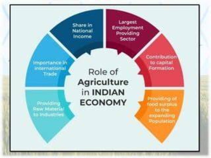 How agriculture is the backbone of indian economy?