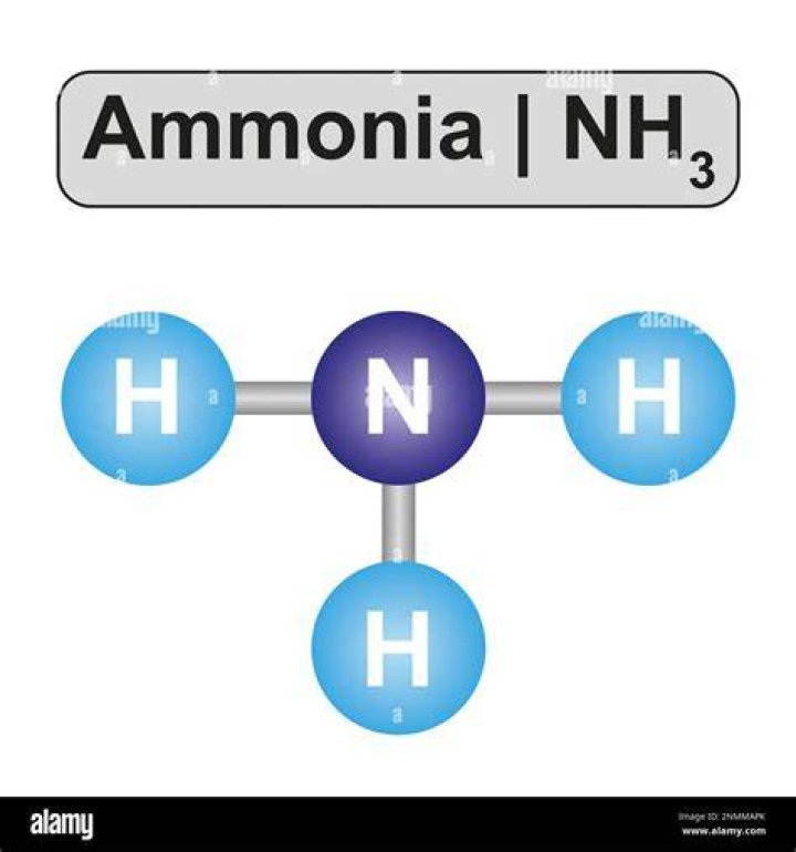 How ammonia smells like?