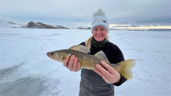 How big is lake diefenbaker?
