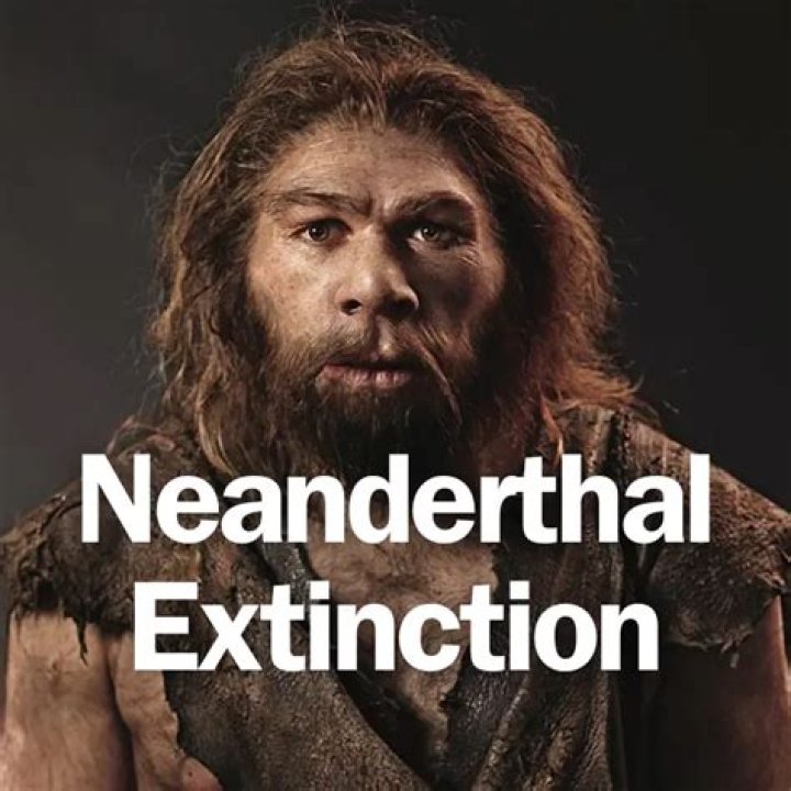 How did the neanderthals die out?