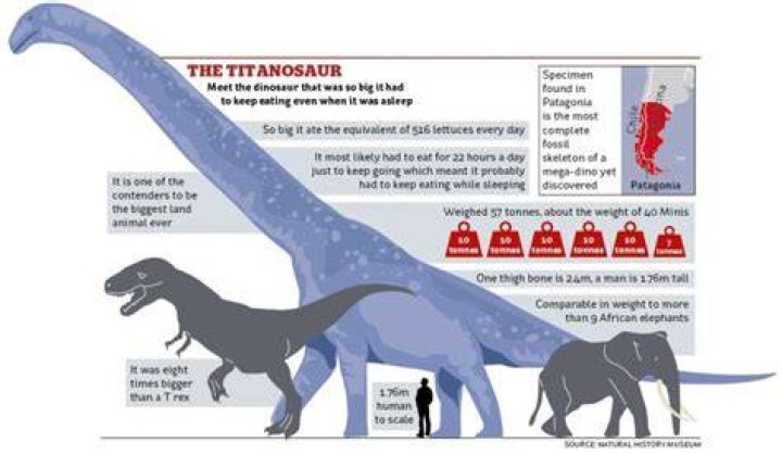 How do titanosaurus eat?