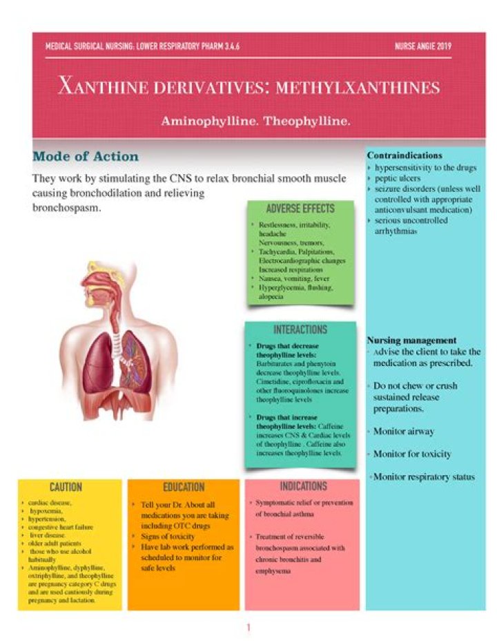 How do xanthines work?