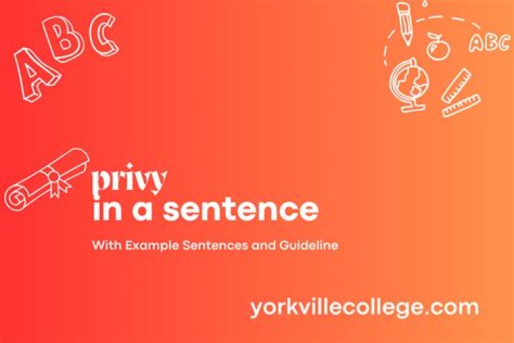 How do you use privy in a sentence?
