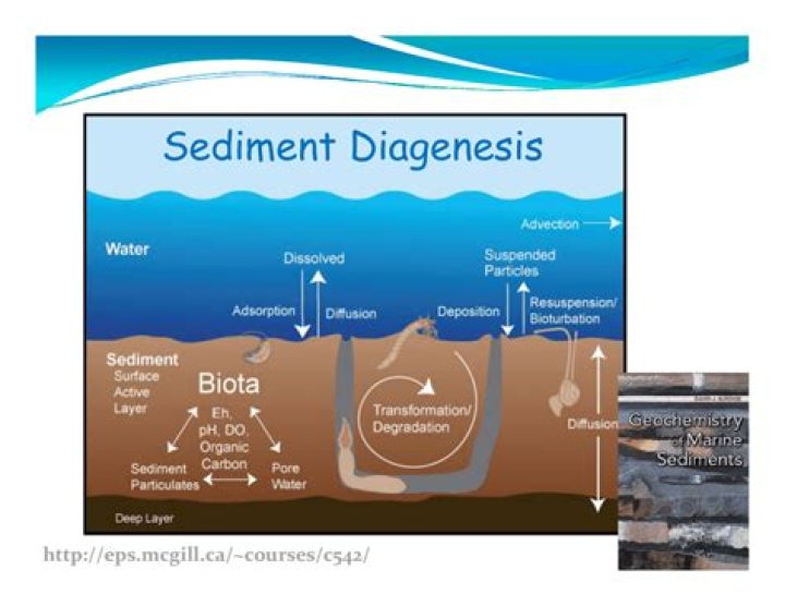 How does diagenesis work?