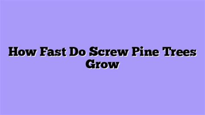 How fast do screw pines grow?