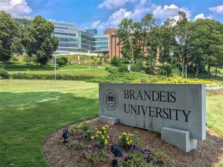 How good is brandeis university?