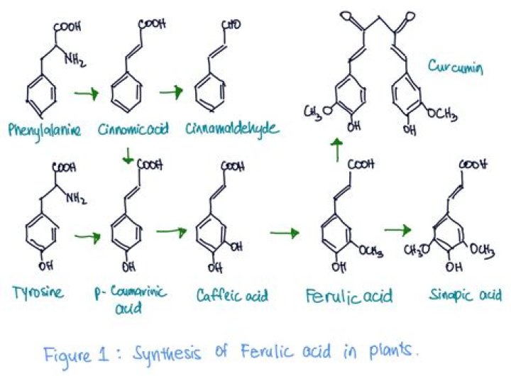 How is ferulic acid produced?