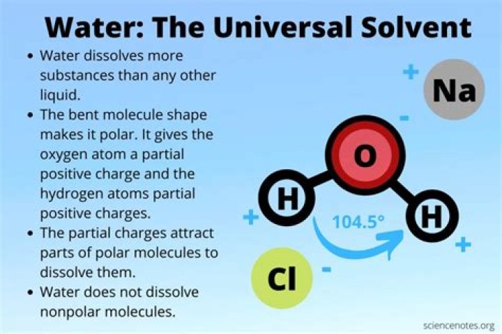 How is water a universal solvent?