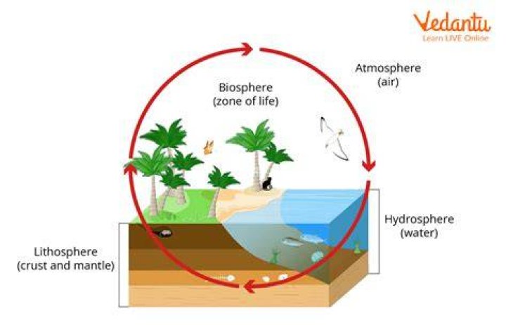How is water distributed through the biosphere?