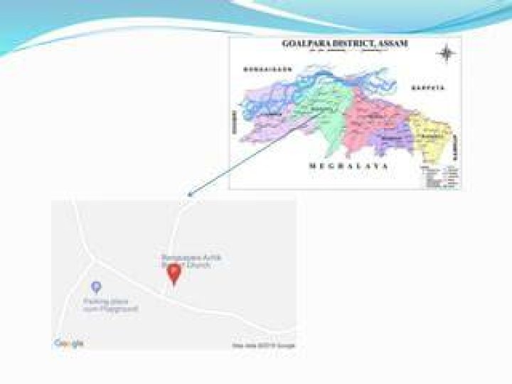 How many gaon panchayat in goalpara district?
