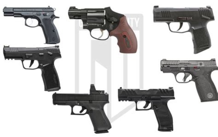 How many pistols should i own?