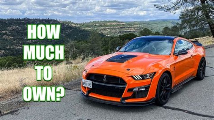 How much does shelby make?