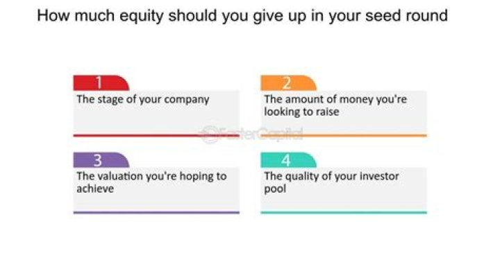 How much equity to give in seed round?