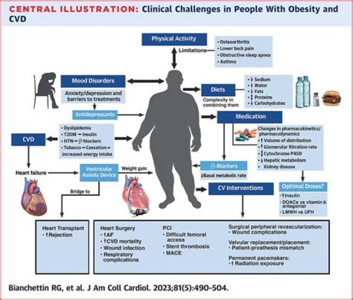 How obesity correlates with cardiovascular disease?