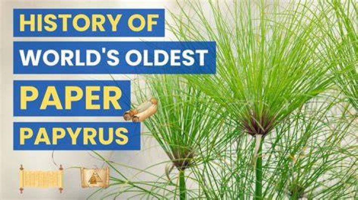 How papyrus developed over time?